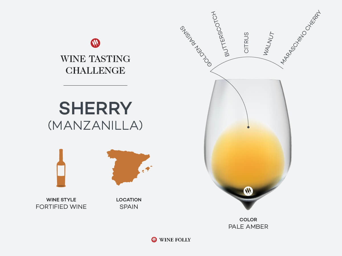 An infographic of Manzanilla Sherry.