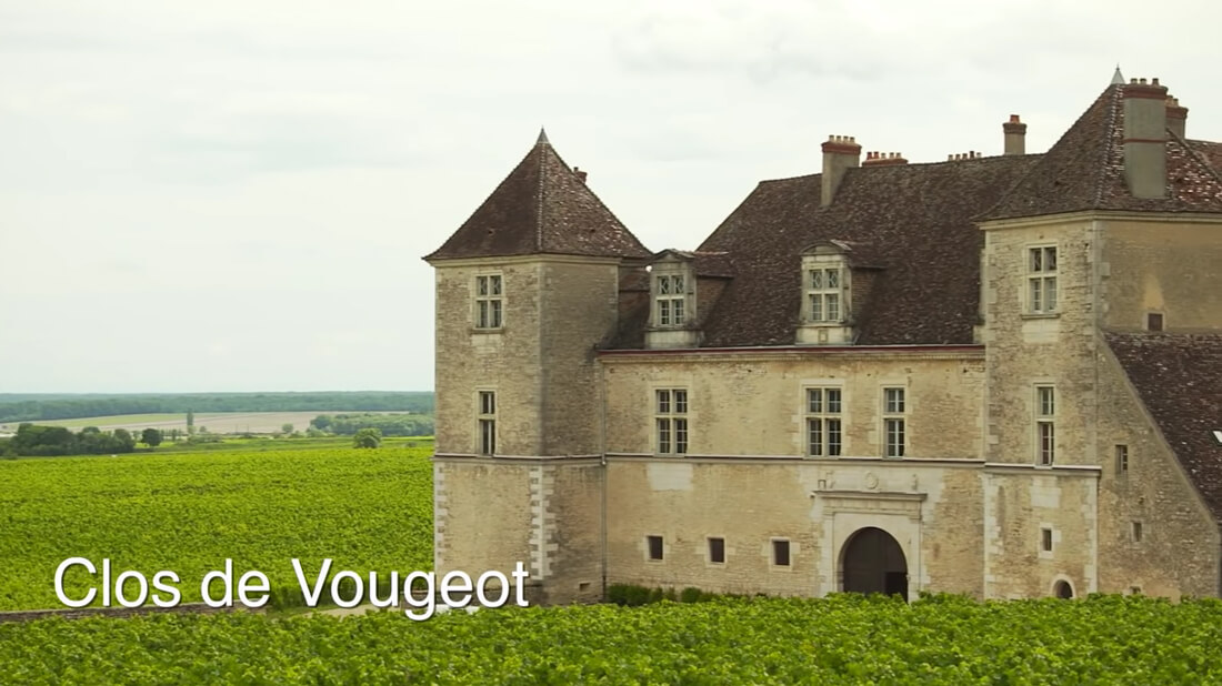 Wine Region - Burgundy - Clos de Vougeot