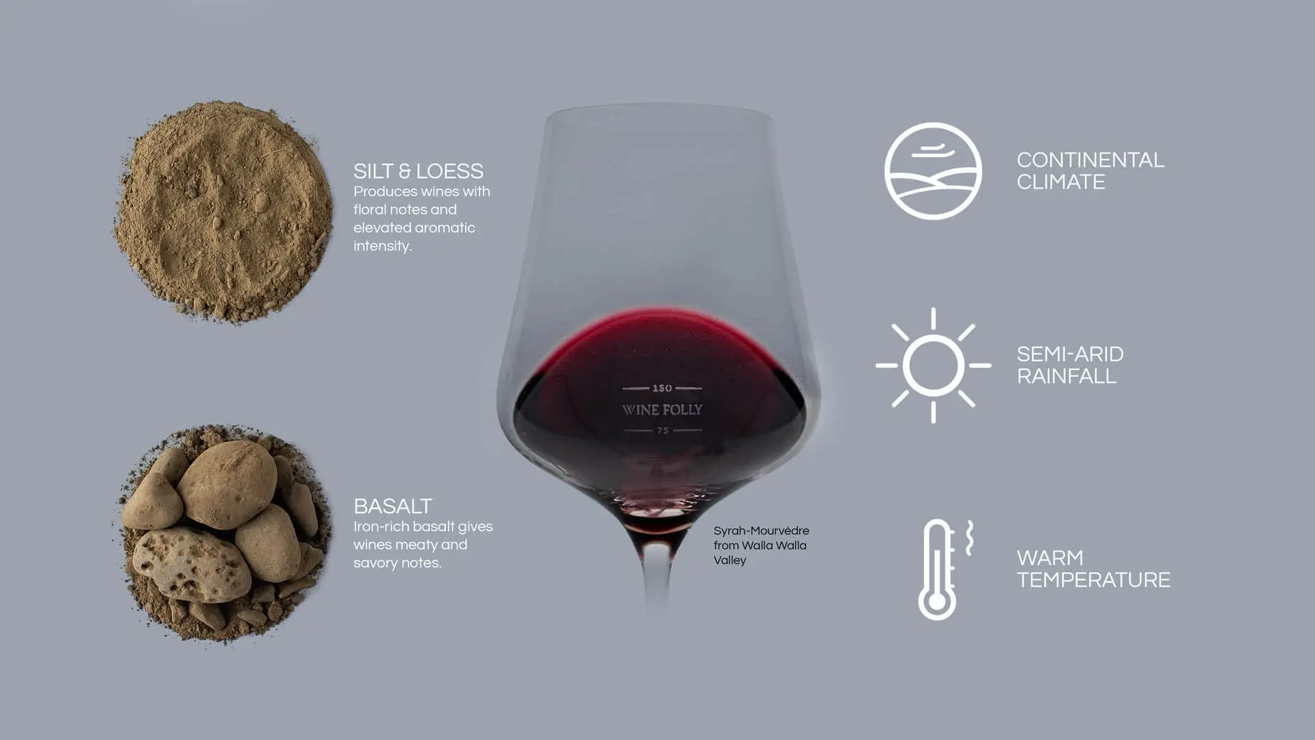 Cabernet Sauvignon