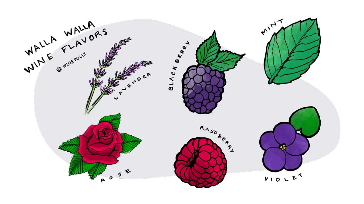 Wine Folly - Walla Walla 101 Learnings