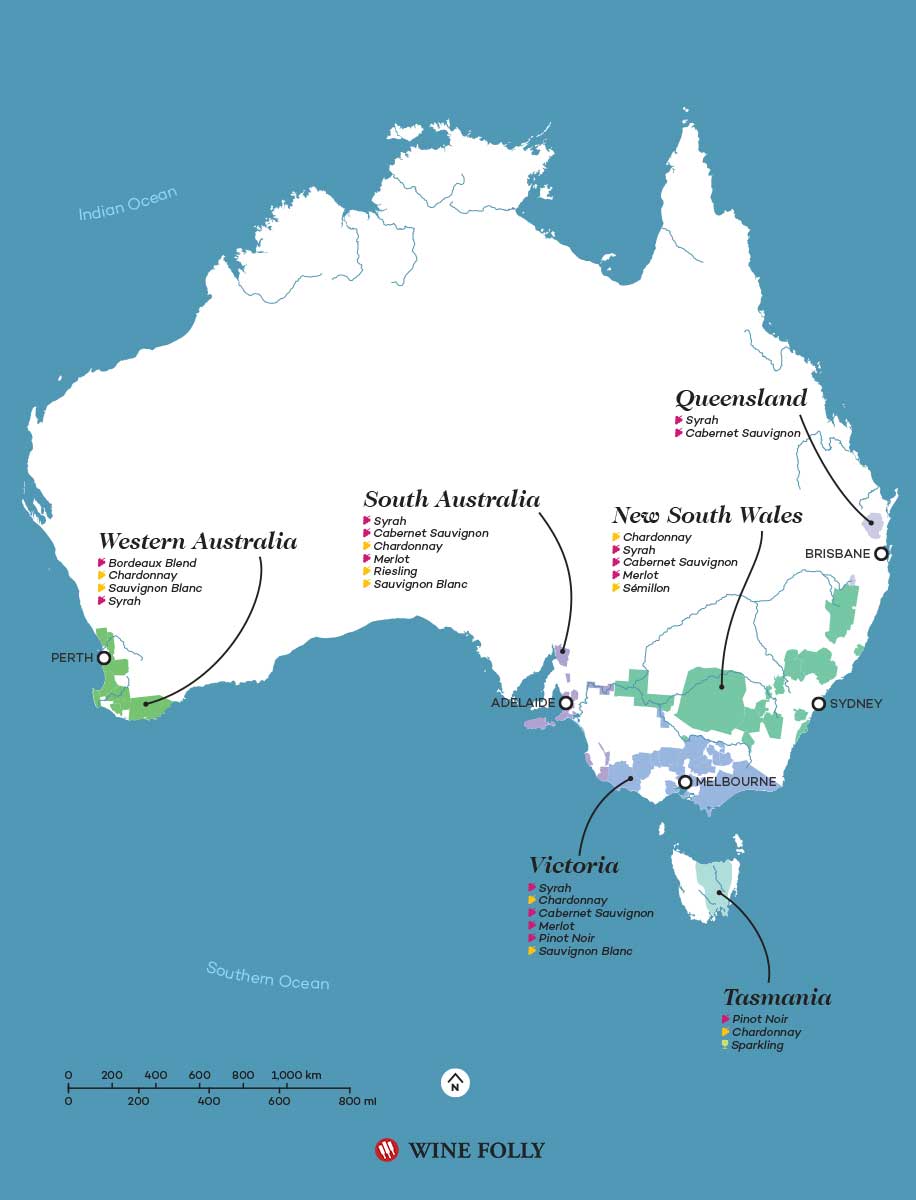 Australia Wine Region Wine Folly   Hero Australia Map 